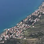 Franica * זאדאר