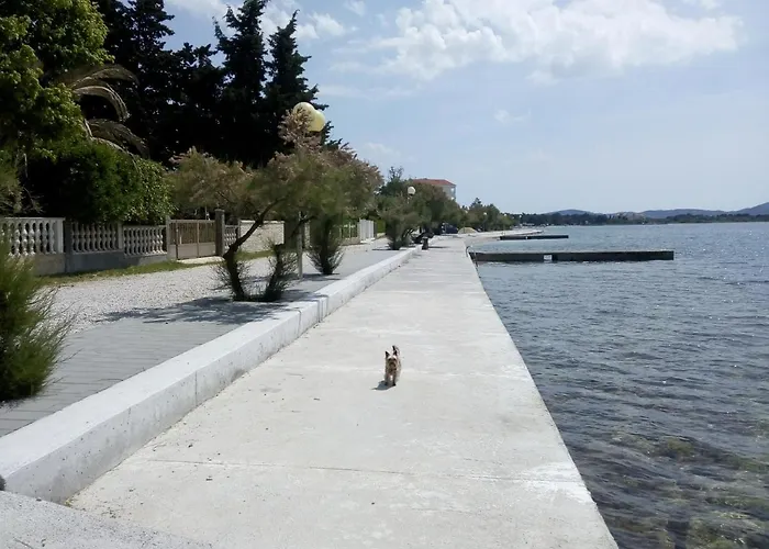 Franica Διαμέρισμα *