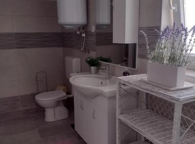 Διαμέρισμα Franica *